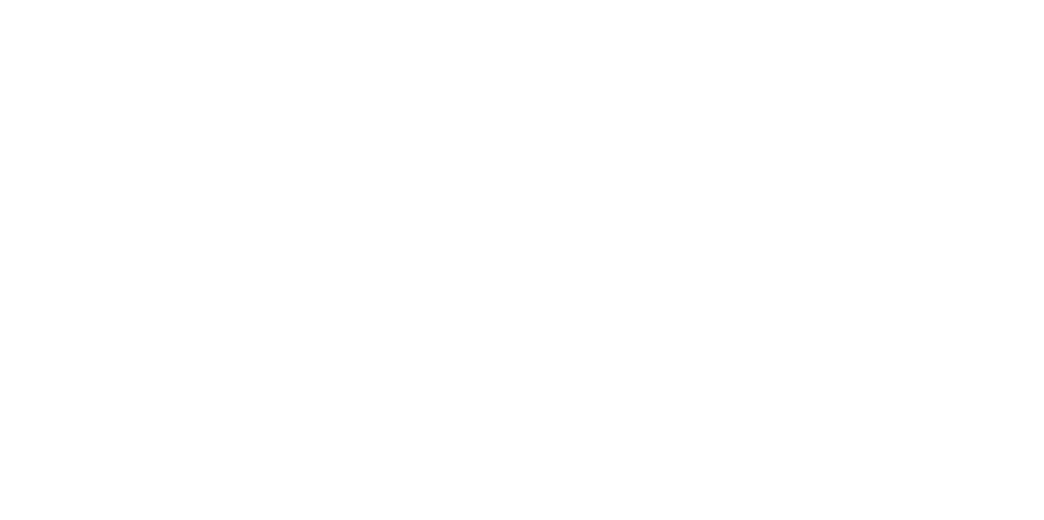 Solidarity Cinema