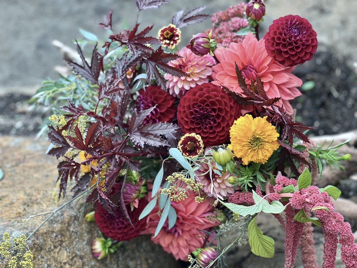 https-::smilingfrogfarm.com:images:fallbouquet.jpeg