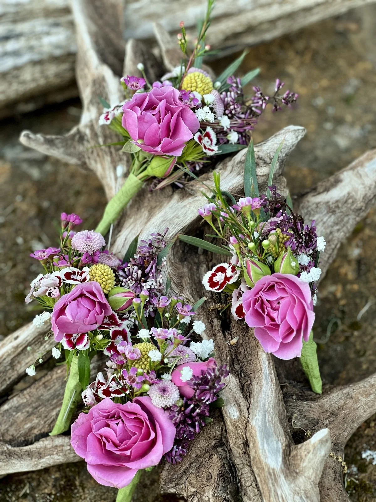 Pink, purple, and white flowers arranged on a piece of driftwood, on a dirt ground.