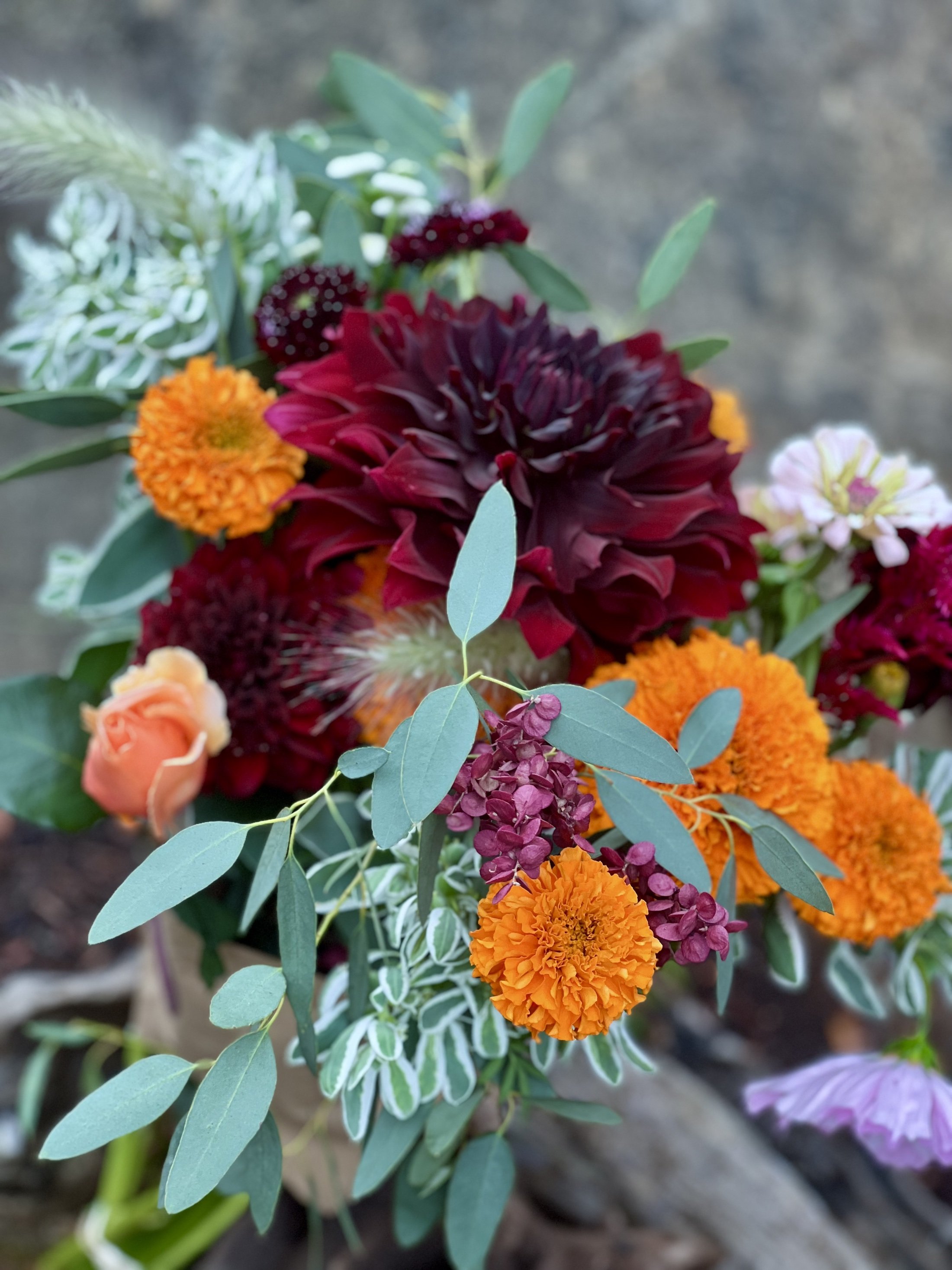 Smiling-Frog-Farm-dahlia-CSA-bouquet.jpg