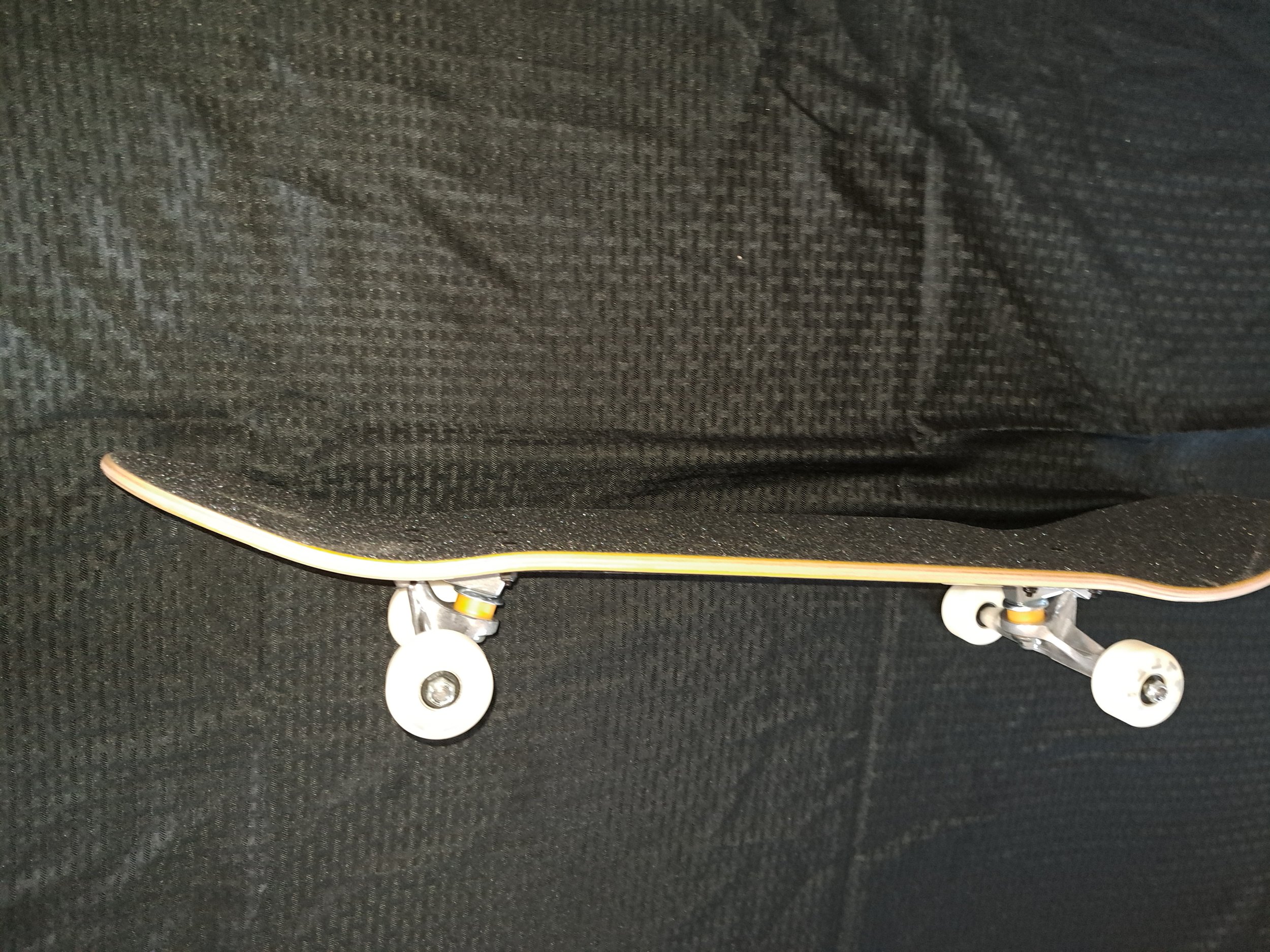 20240810_120131.jpg