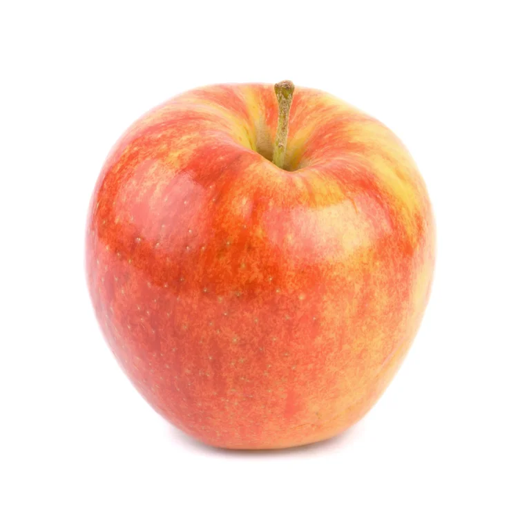 Apple varieties northern orchards