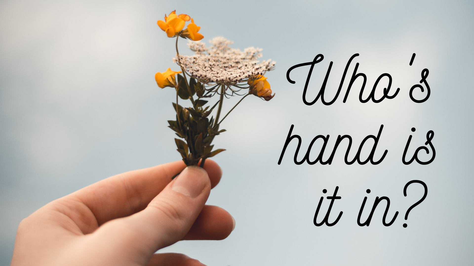 Who's hand is it in?