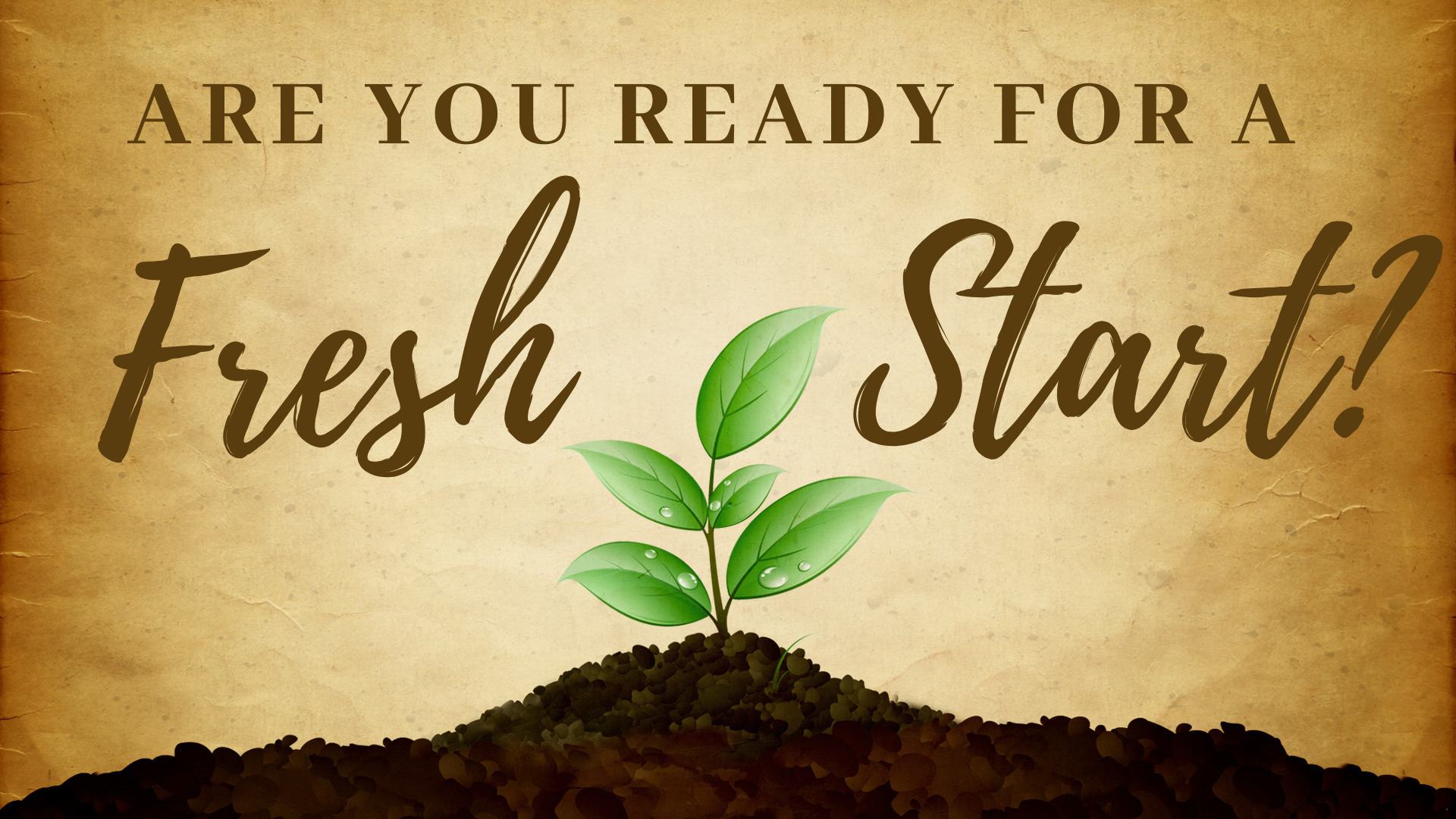 Are You Ready for A Fresh Start?