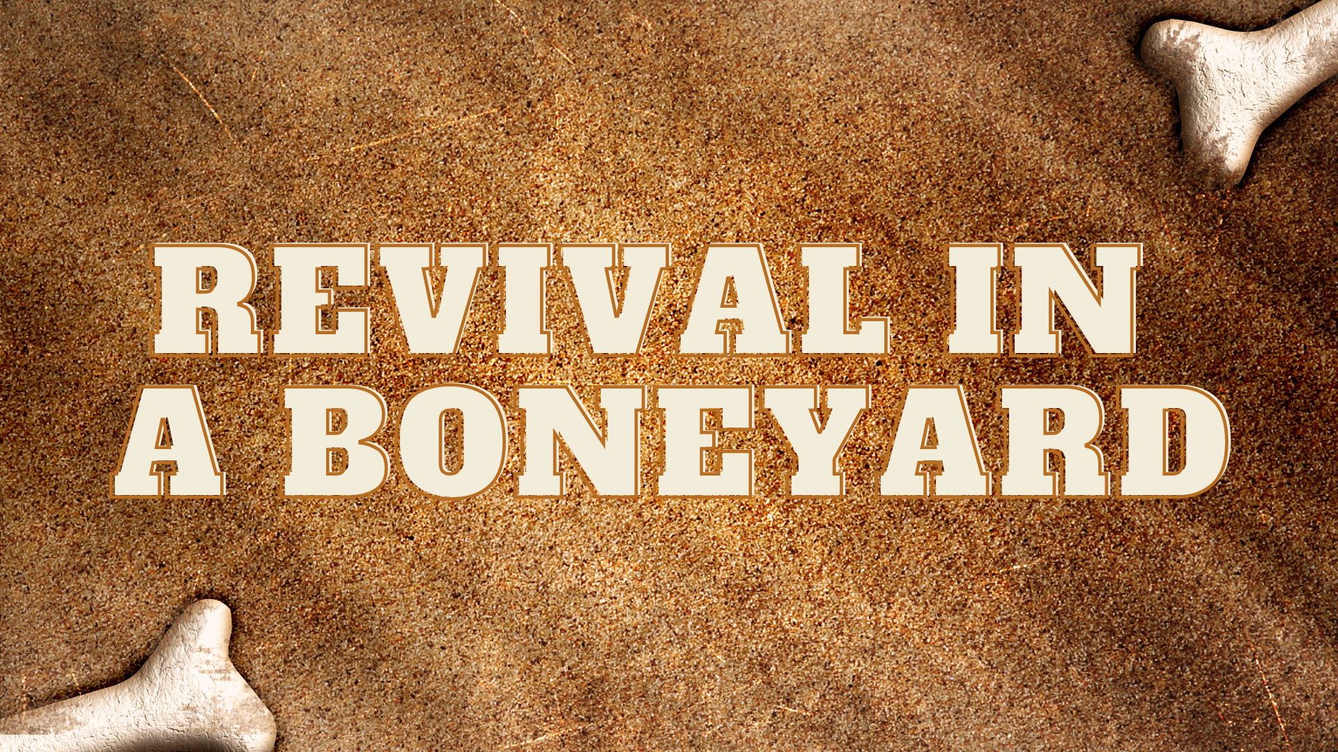 Revival in a Boneyard
