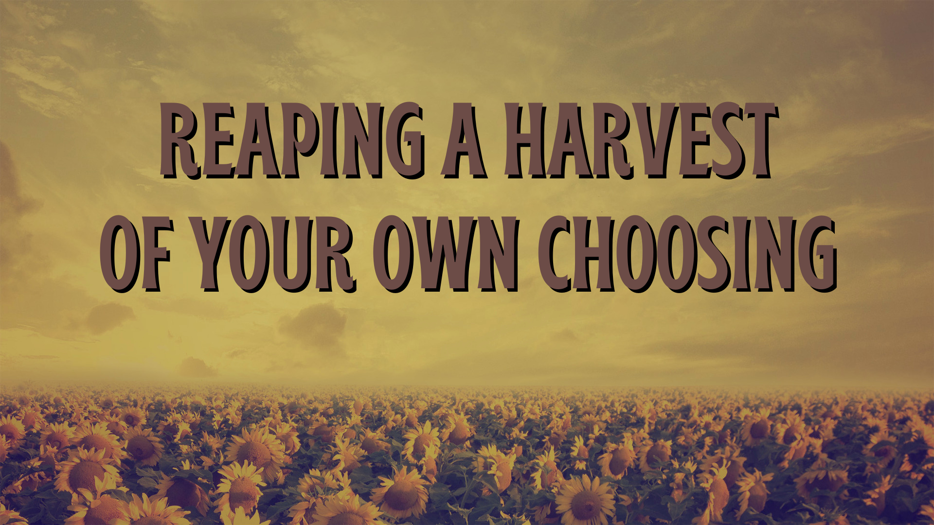Reaping a Harvest of Your Own Choosing