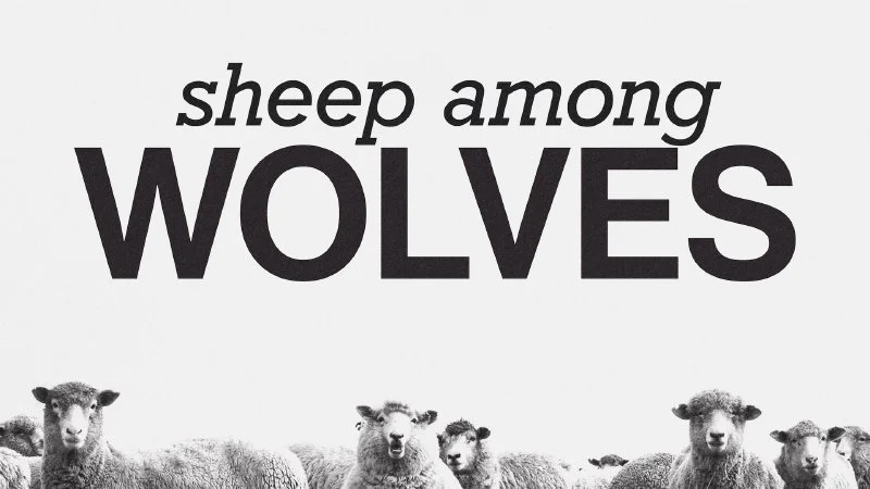 Sheep Among Wolves
