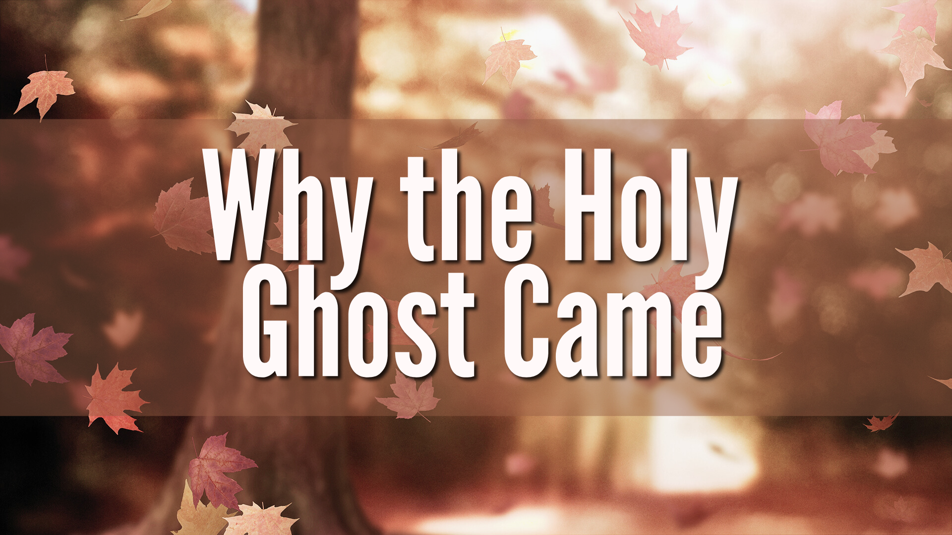 Why the Holy Ghost Came