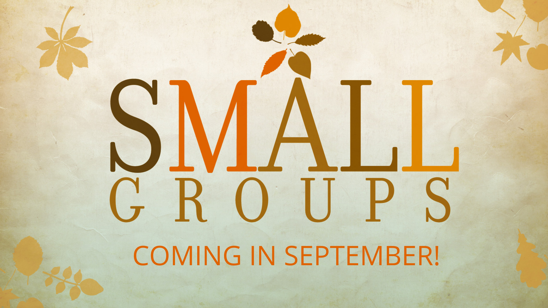 small groups (13).png