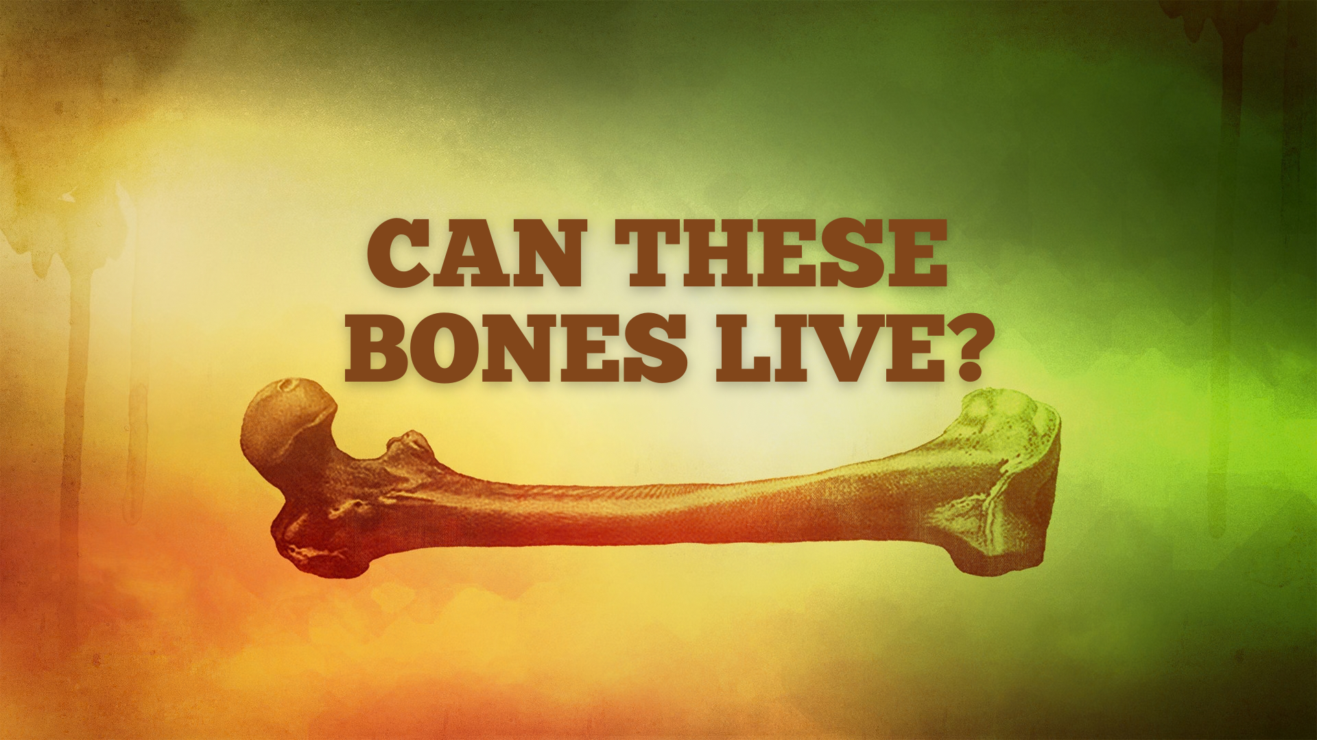 Can These Bones Live?