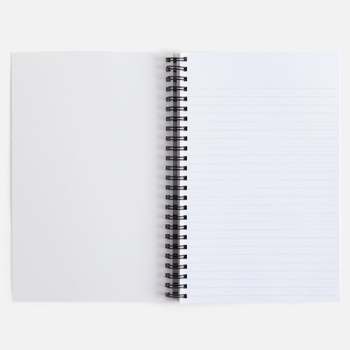 preview inside notebook.jpeg