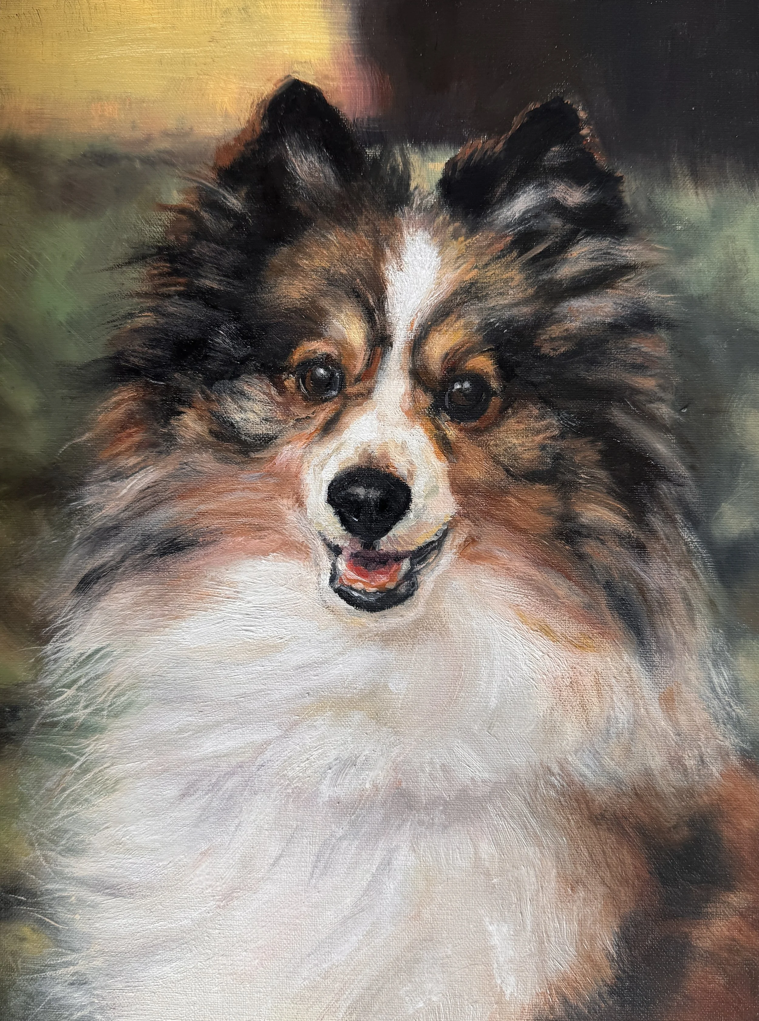 Petey - oil 