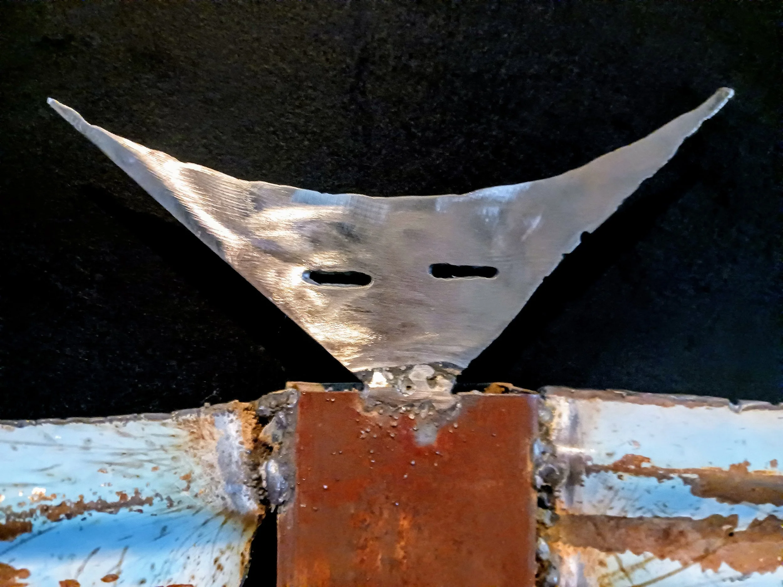 20230626_141118.jpg