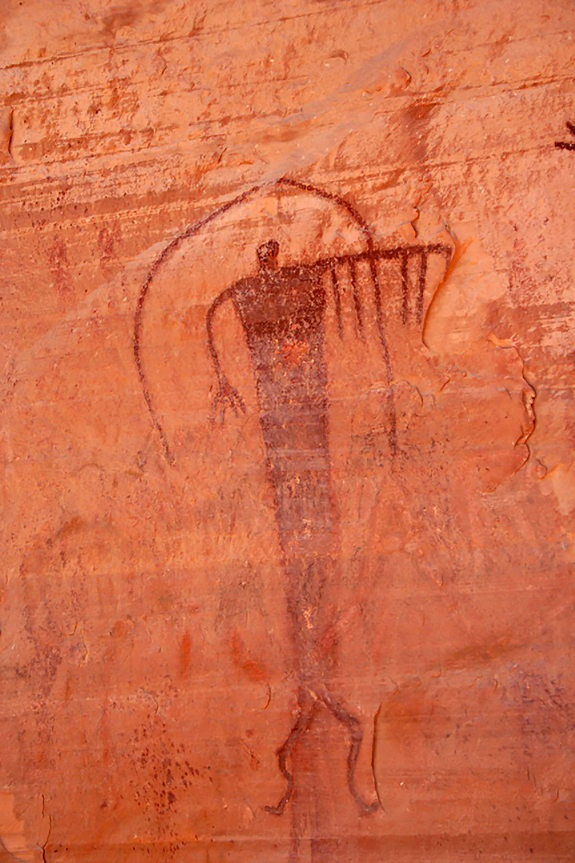Buckhorn Wash Rope Shaman.jpg