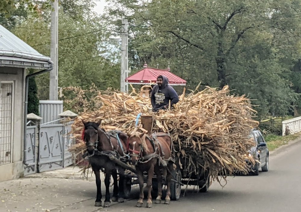 horse+cart.jpg