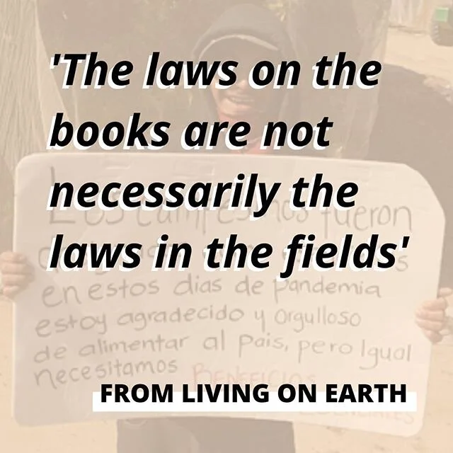 The sign in the background image reads &ldquo;Field workers were designated as essential during the pandemic. I am thankful and proud to feed the country, but we also need essential benefits.&rdquo; (listen to the 9 minute radio segment &rarr; link i