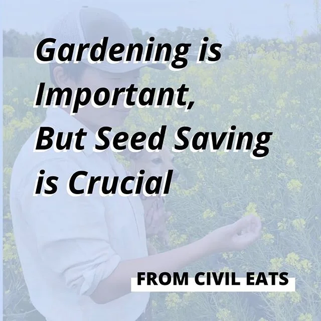 &ldquo;Experts say saving seeds is an important piece of the food sovereignty puzzle&rdquo;
(read the article &rarr; link in bio)

LAND
Seeds are pretty magical: a neat packet with all of the nutrients and genetic material necessary to grow a new pla