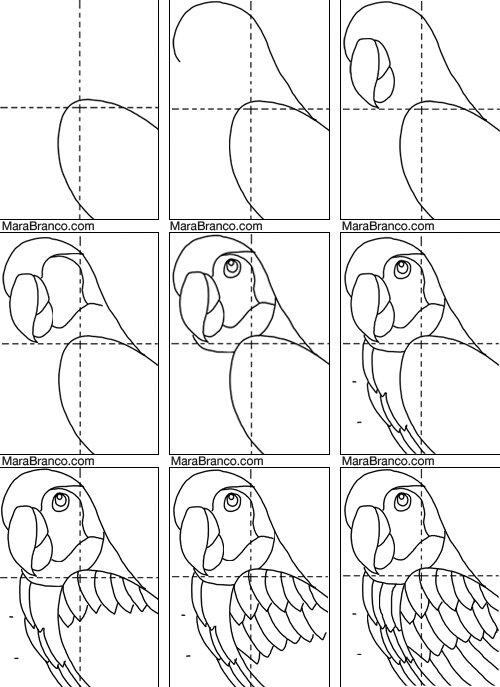 Parrot Drawing by Anirudh Maheshwari - Pixels