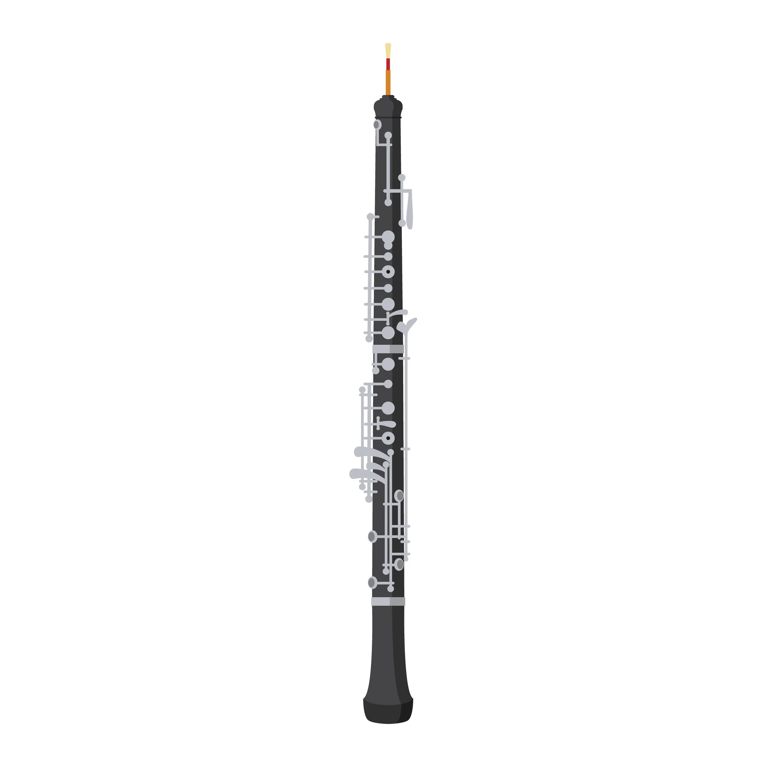 OBOE:  This double reed woodwind instrument famously produces an extremely clear tone, free from the bumps and wiggles.  For this reason, the whole orchestra tunes to its notes. // OBOE: Este instrumento de viento-madera de doble lengüeta produce, de