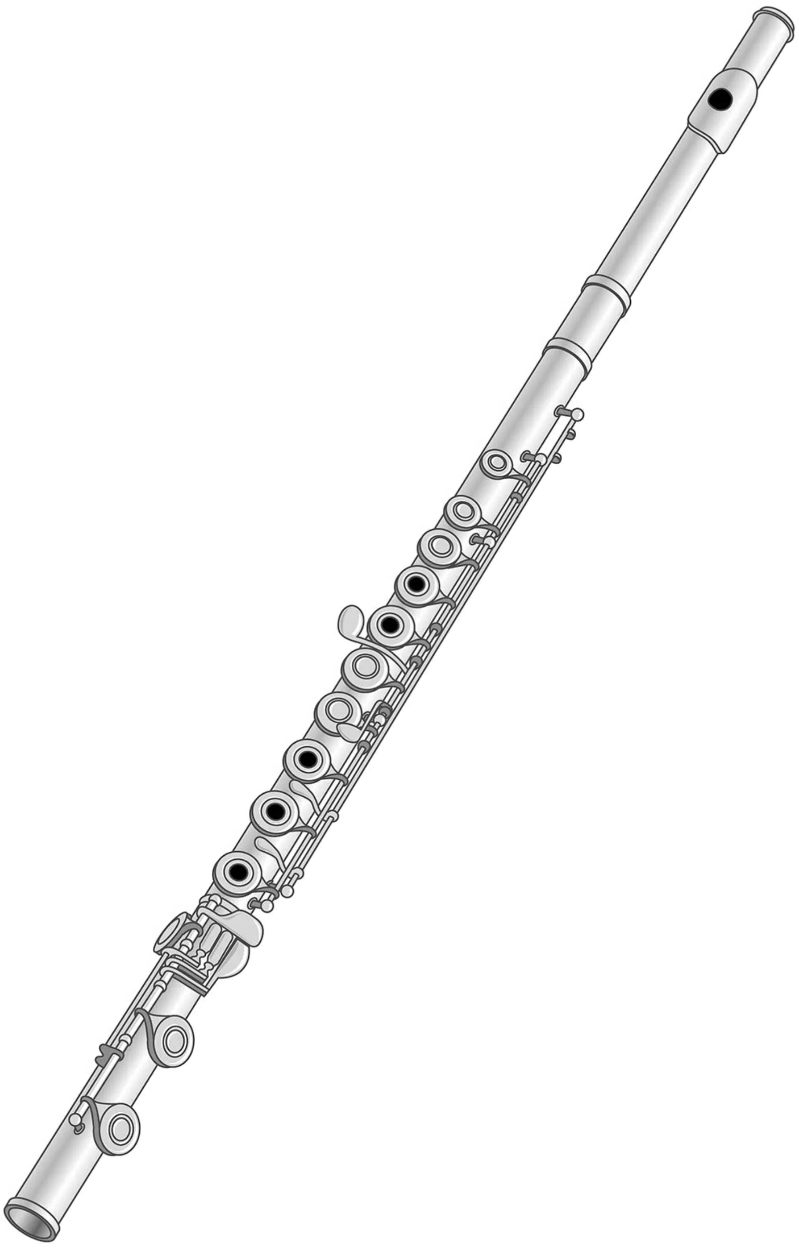 FLUTE: Highly portable and highly popular, the flute often plays solo melodies in the orchestra. // FLAUTA: Muy fácil de transportar y muy popular, la flauta suele interpretar melodías como solista dentro de la orquesta.