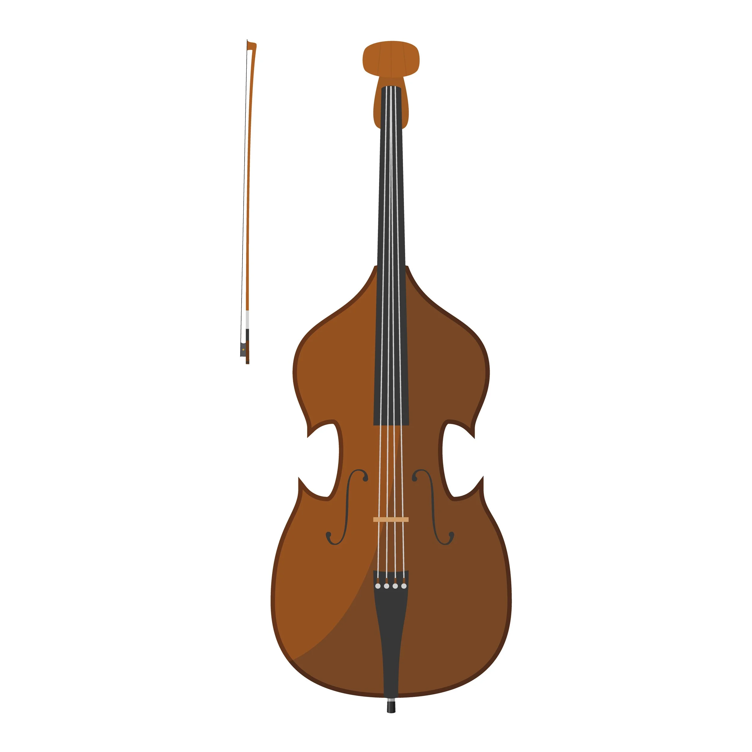 BASS:  Larger than the person who plays it, the double bass provides the foundation for the orchestra.  It also plays in almost every genre of music. // CONTRABAJO: Más grande que la persona que lo toca, el contrabajo proporciona la base de la orques
