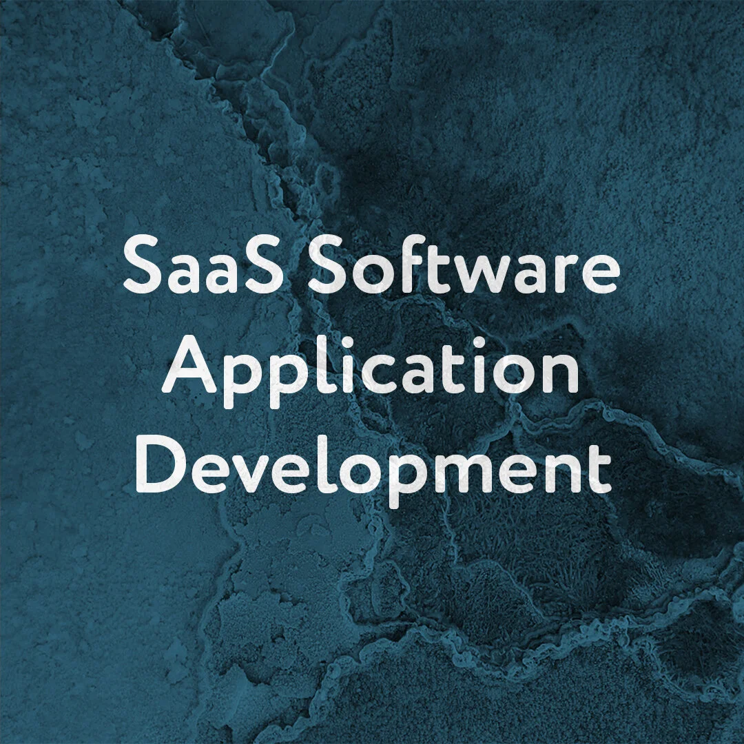 SaaS Software Application Development.jpg