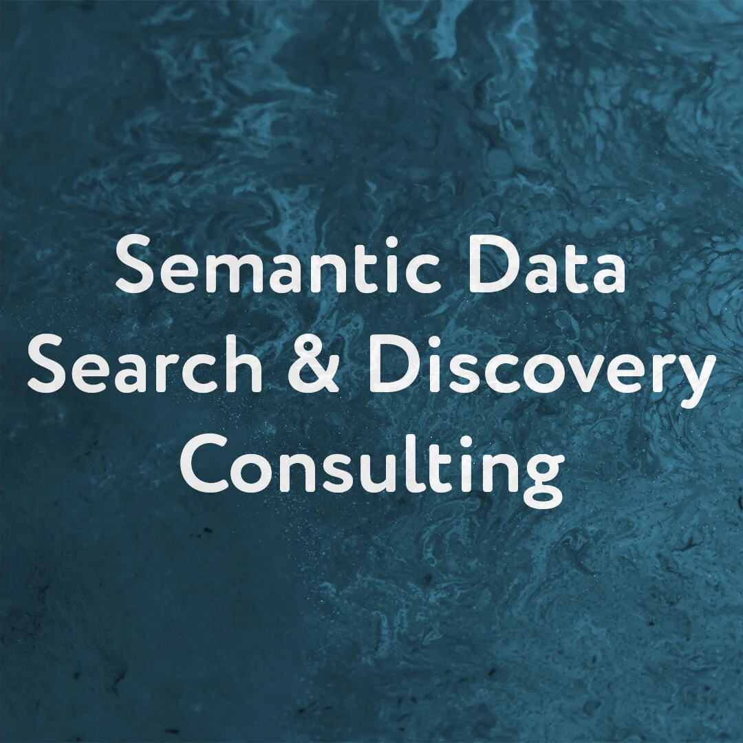 Semantic Data Search and Discovery Consulting.jpg