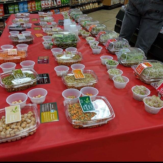 Come check us out! Here until 1pm!
.
.
.
#healthylifestyle #healthy #healthyfood #healthfood #yum #organic #alfalfa #sprouts #sproutedbeans #salad #salads #bellpepper #garden #gardening #food #foodie #foodideas #kowalke #kowalkeorganics #wholefoods #