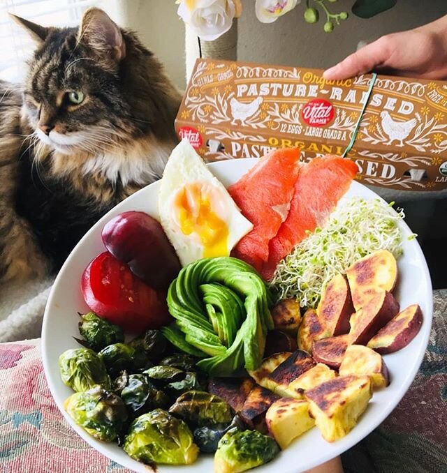 This beautiful picture was taken by @georges.nutritious.eats .
.
.
.
#healthylifestyle #healthy #healthyfood #healthfood #yum #organic #alfalfa #sprouts #sproutedbeans #salad #salads #bellpepper #garden #gardening #food #foodie #foodideas #kowalke #k