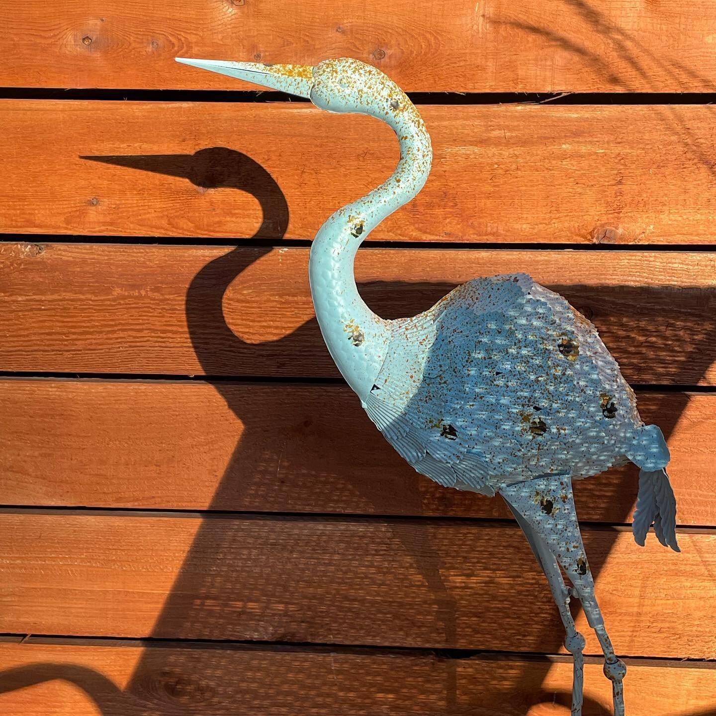 Light Blue Heron #summeressentials