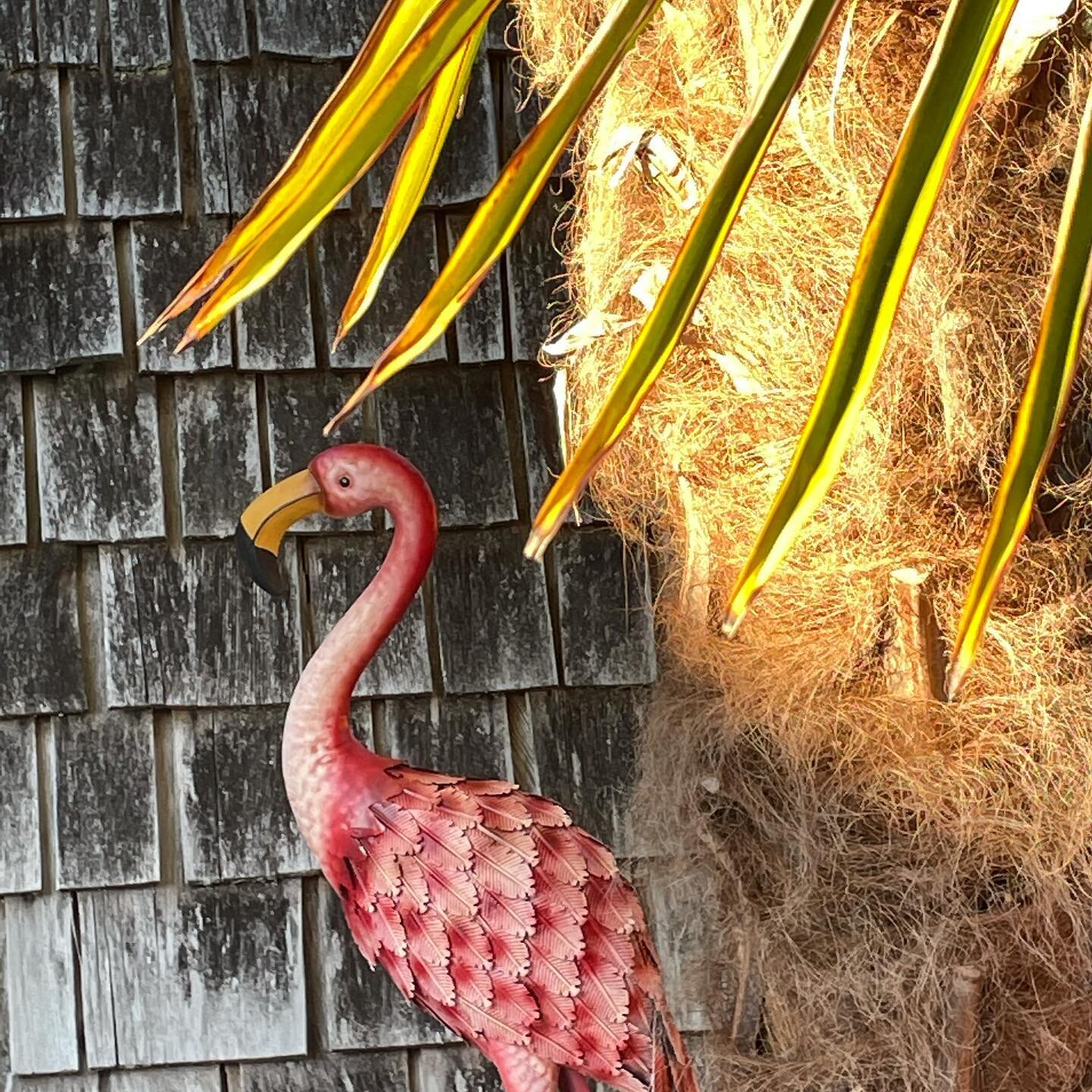 Flamingo #summeressentials