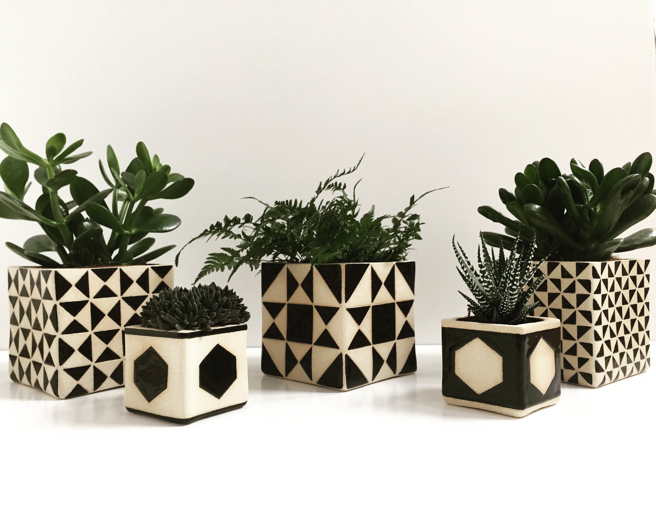 geo pot collection.jpeg