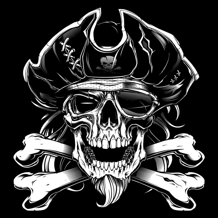 Lightning unveil pirate inspired Jolly Roger skull logo and jerseys -  HockeyFeed