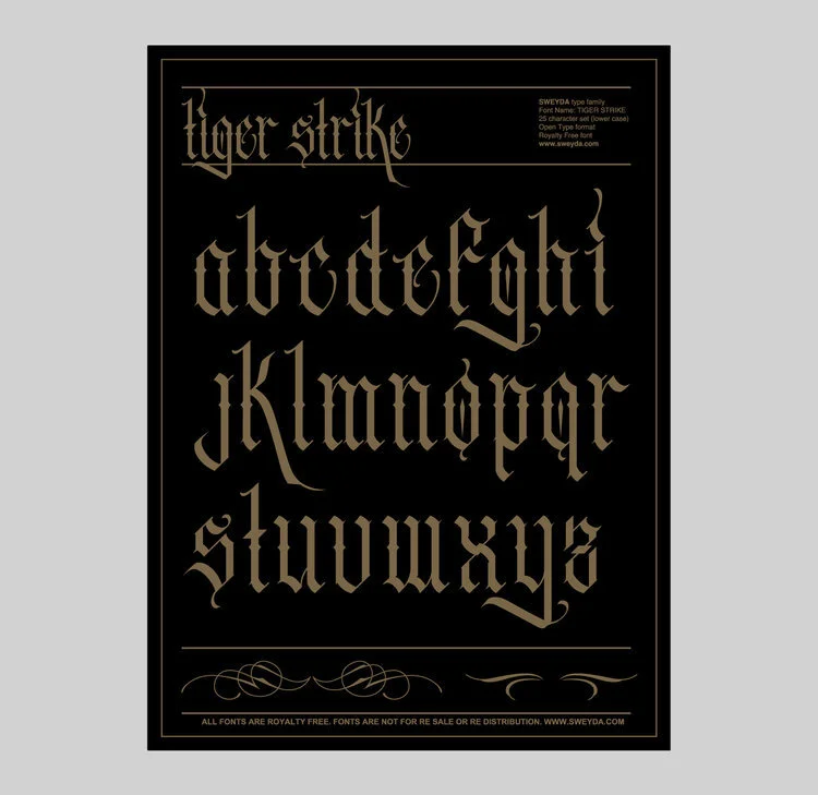 Sweyda+fonts+-+Tiger+strike+-+hardcore+font+-+badass+font+-+calligraphy+font+-+west+coast+font.jpg