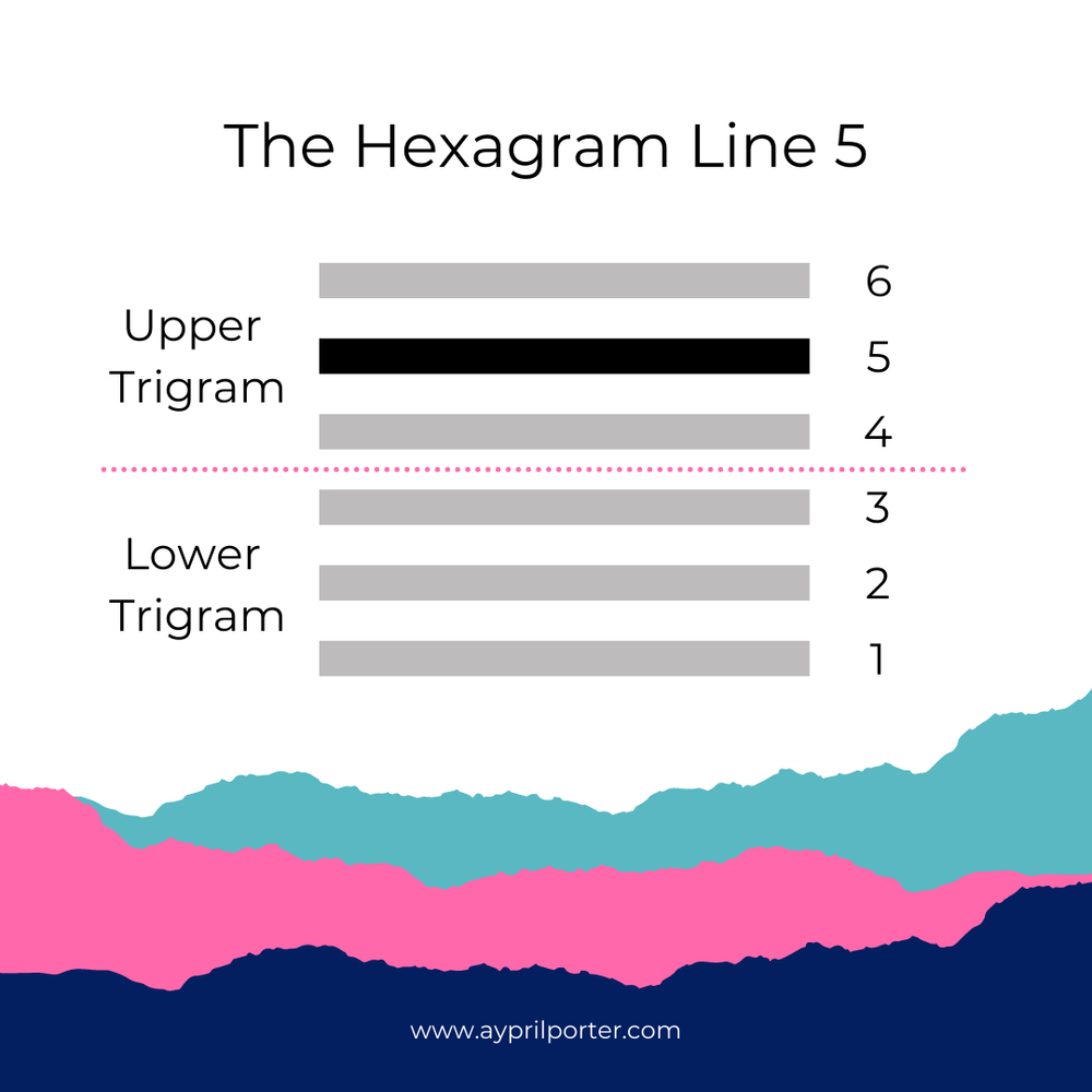 Line 5 - The Heretic — TAPESTRY - Human Design Life Coaching