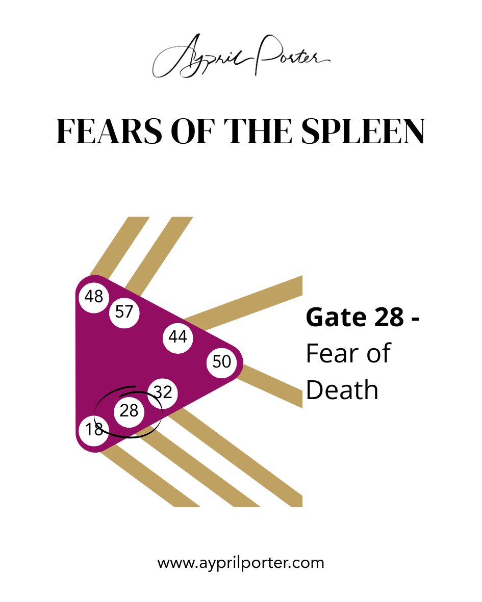 Gate 28: The Fear of a Meaningless Life — Building a Business That Matters to You