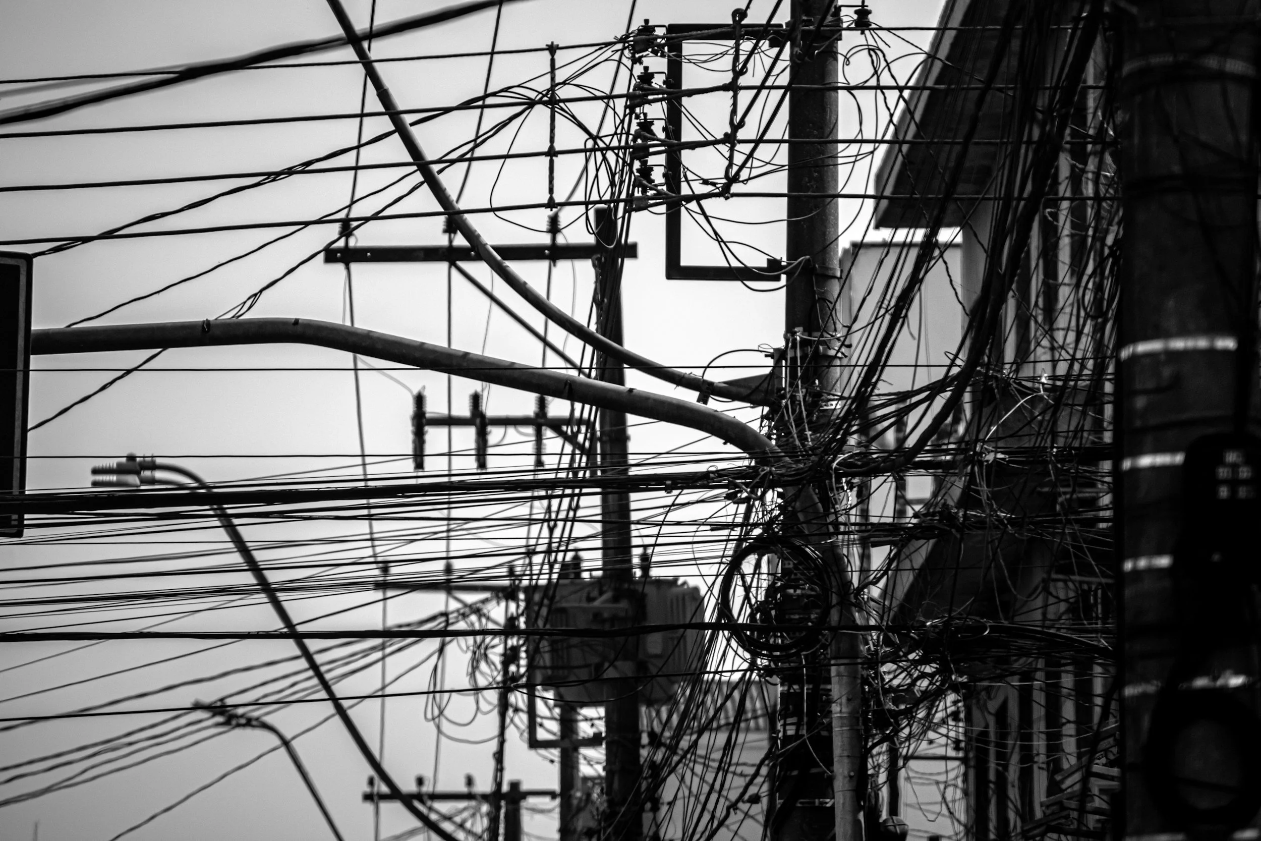 How You're Wired. The reason you work, love, and burn out the way you do.