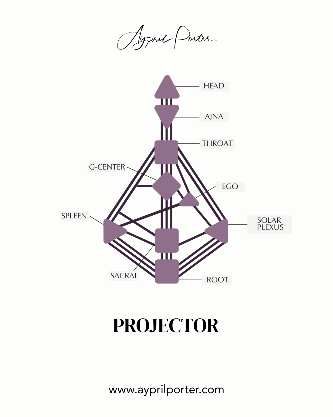 The Projector Entrepreneur: The Visionary Guide Who Sees What Others Cannot