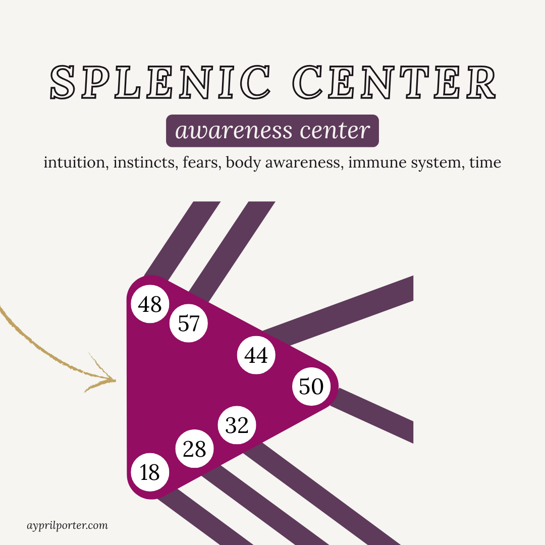 The Defined Spleen Center: How to Stop Second-Guessing the Instinct That Has Never Lied to You