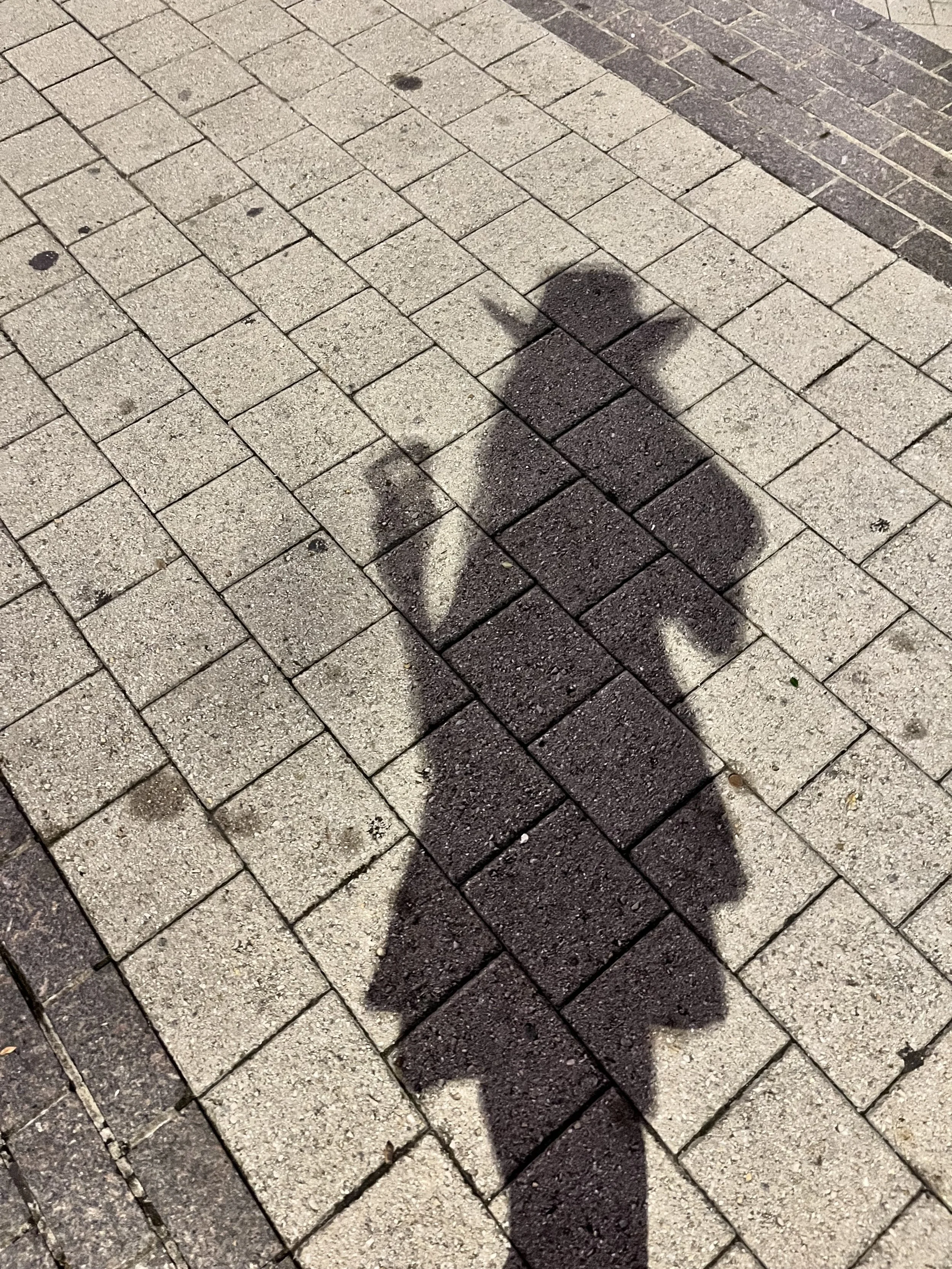 Photograph of a person's long shadow cast on brick pavement, wearing a wide-brimmed hat, holding something in one raised hand