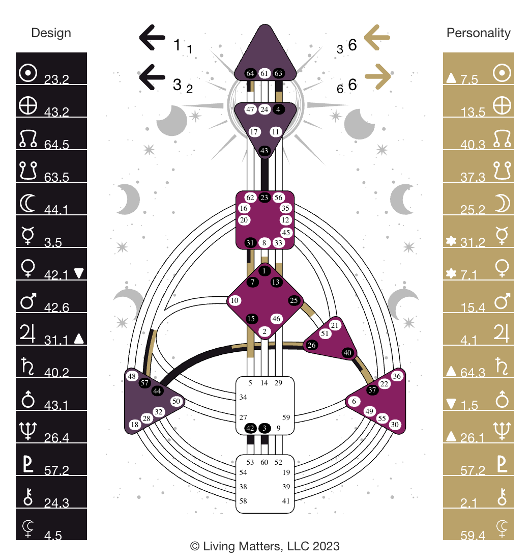 Human Design body graph chart showing defined and undefined energy centers, used to map a woman's unique energetic design during The Unmasking experience