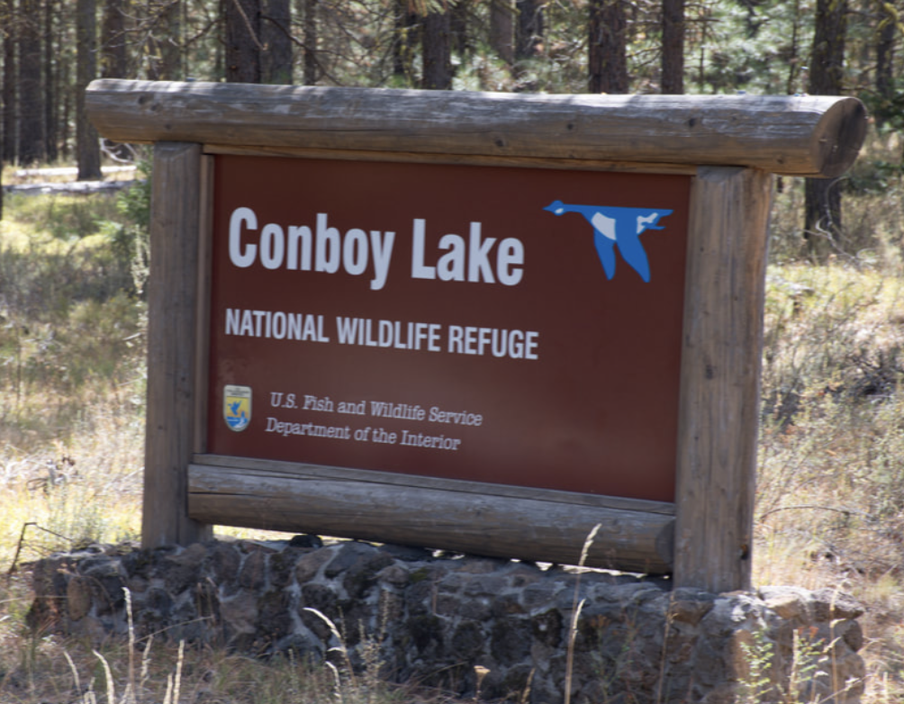 Conboy Lake Wildlife Refuge, June 11, 2026