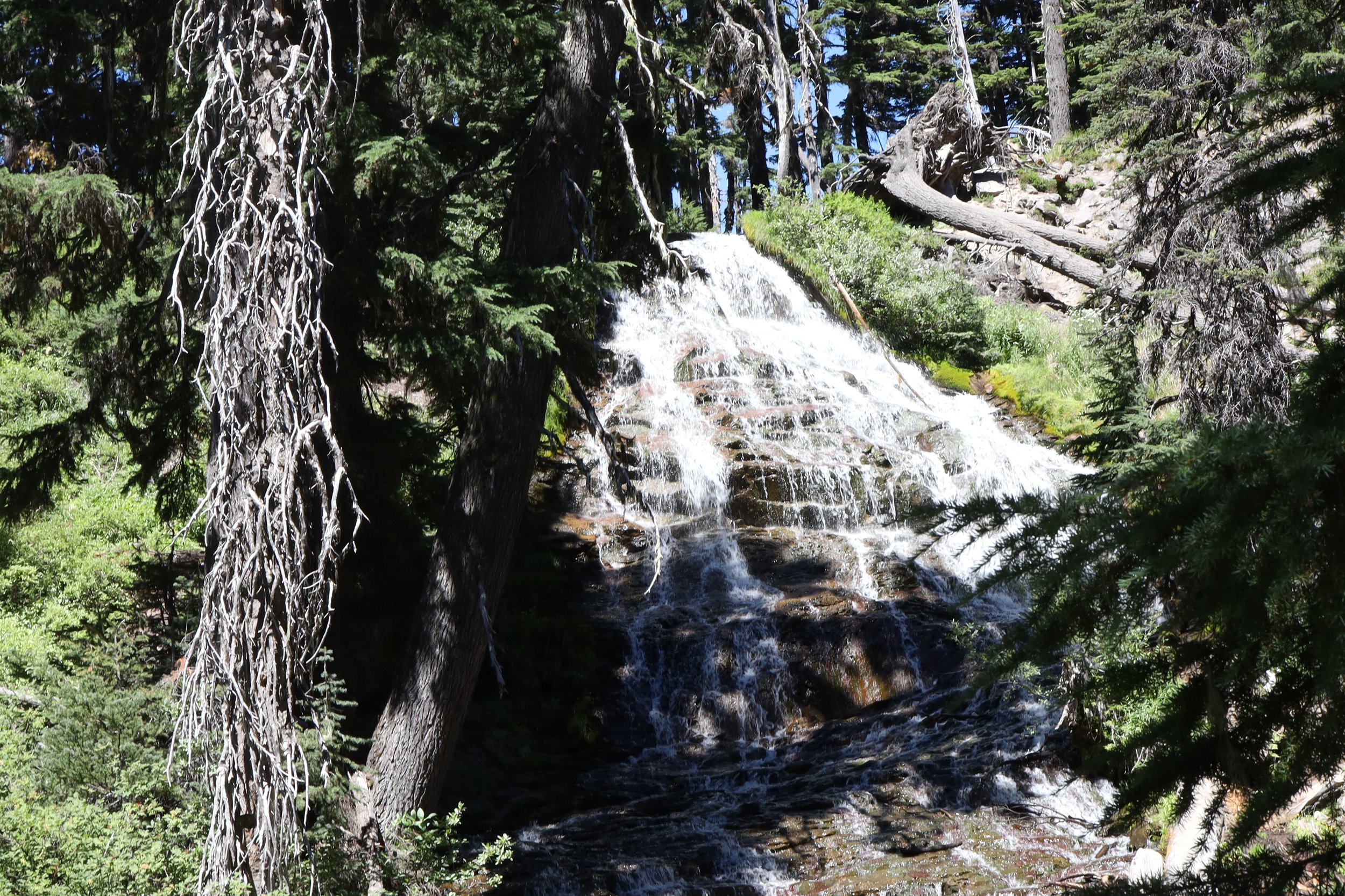 Umbrella Falls trail, July 24 and July 30, 2026
