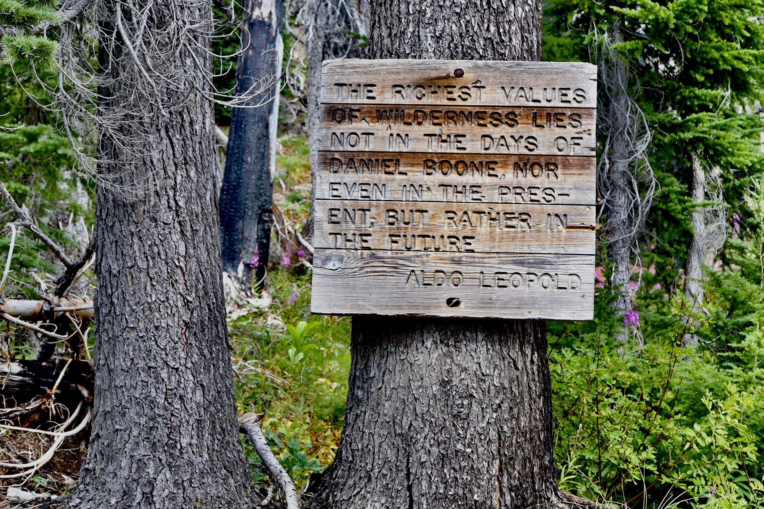Bird Creek Meadows, August 12, 2026