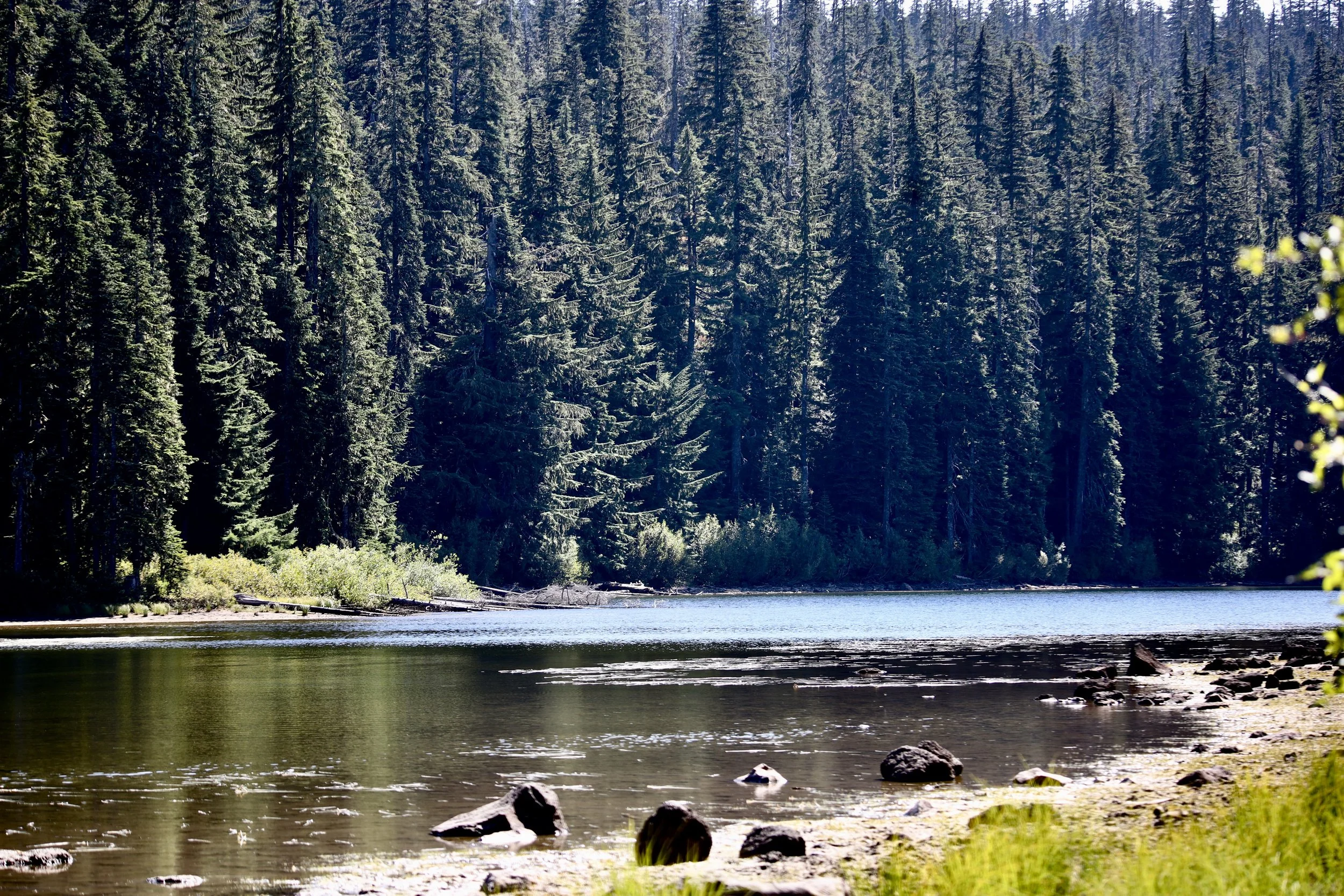 Placid Lake, August 31, 2026