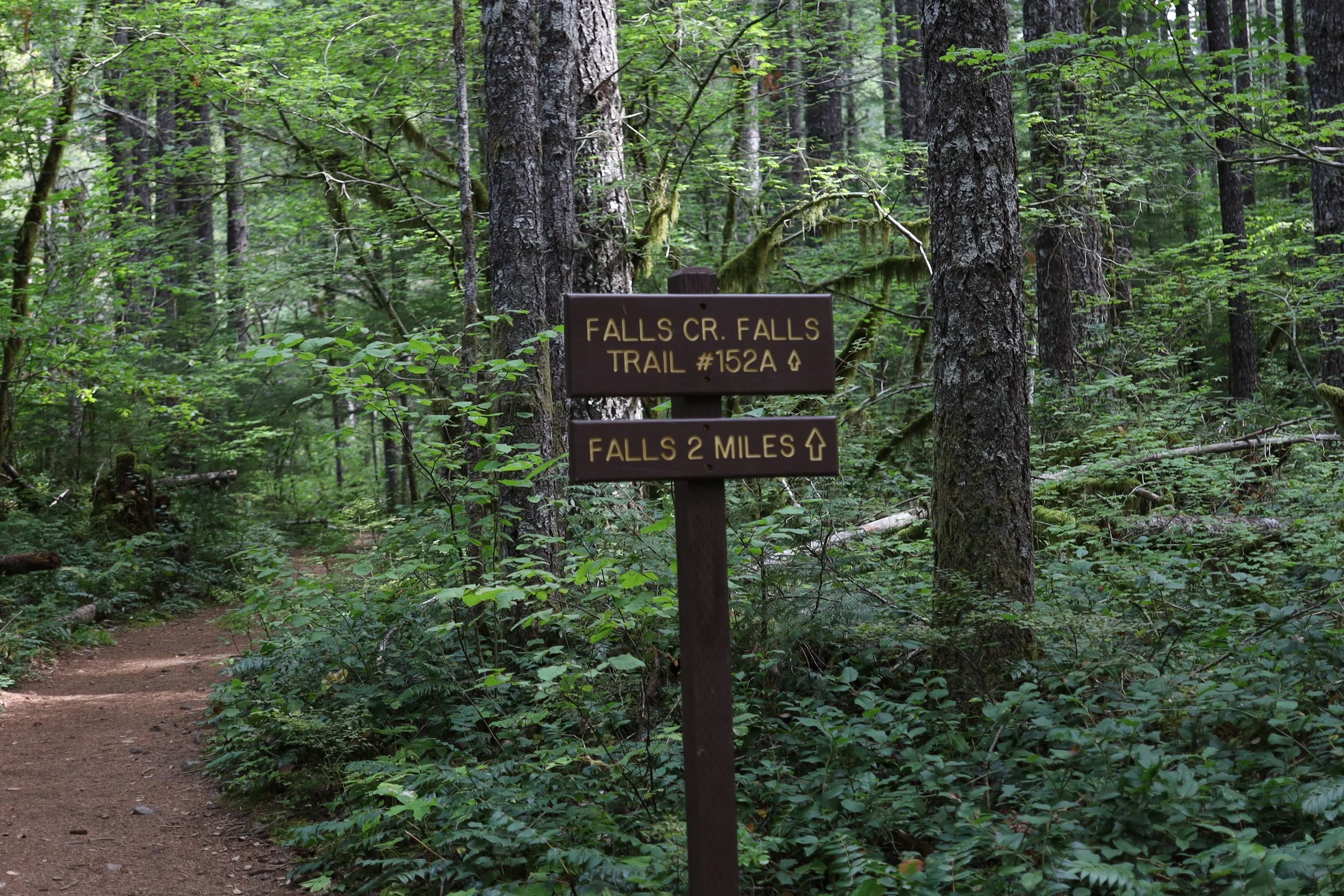 Falls Creek Falls, September 10, 2026