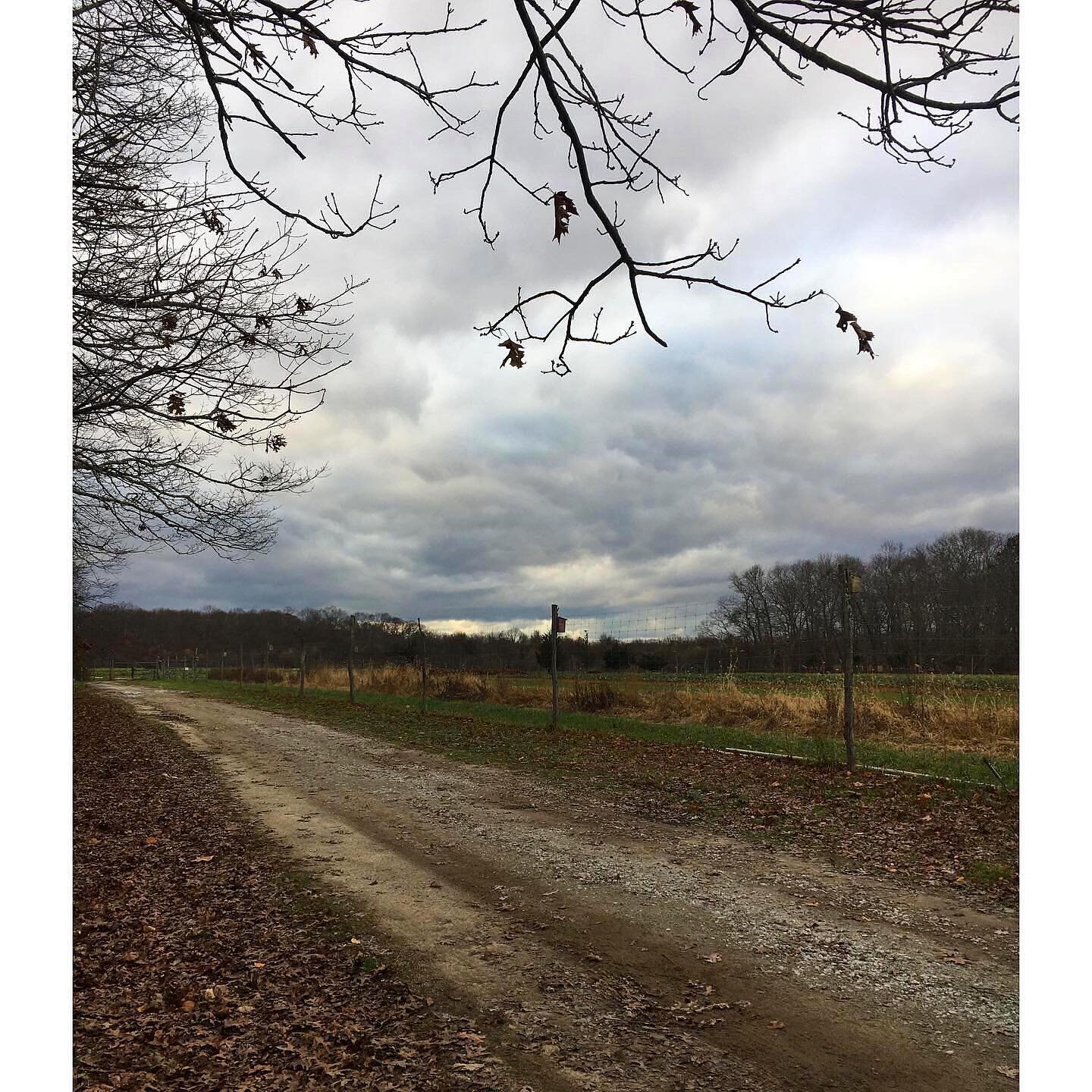 Things are quiet at the farm these days. The last Saturday farm stand was last weekend and while we will miss seeing everyone, it is such a special time to step back and slow down. 
This was our second year selling at the farm and we really couldn&rs