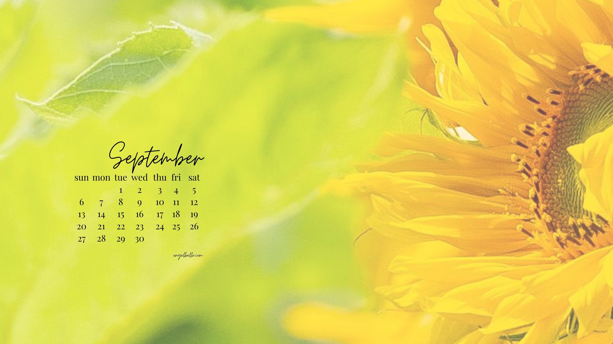 _Engelbelle September  sunflower 2020 Desktop Wallpaper.jpg