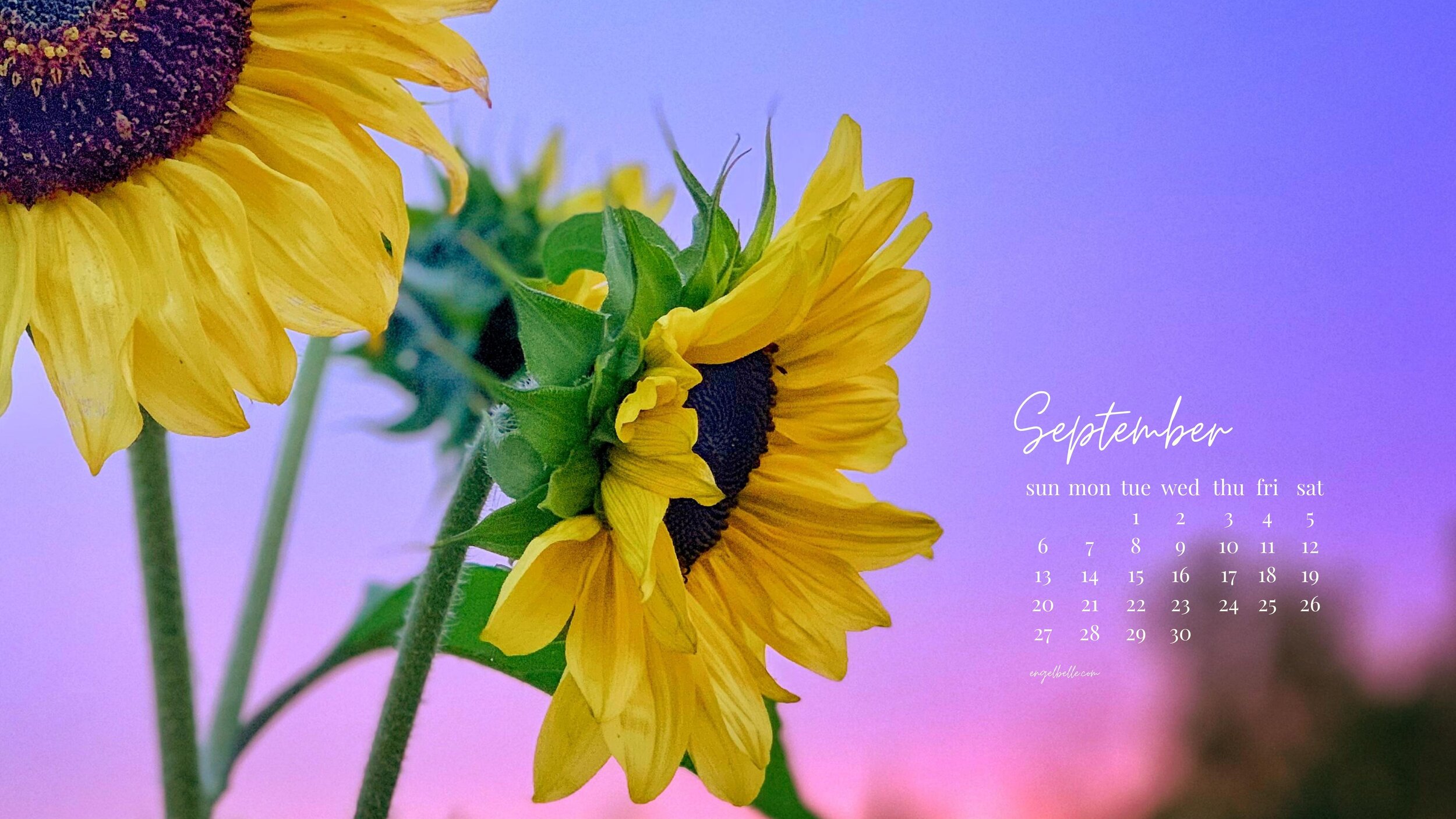 Engelbelle September  Sunflowers 2 2020 Desktop Wallpaper.jpg