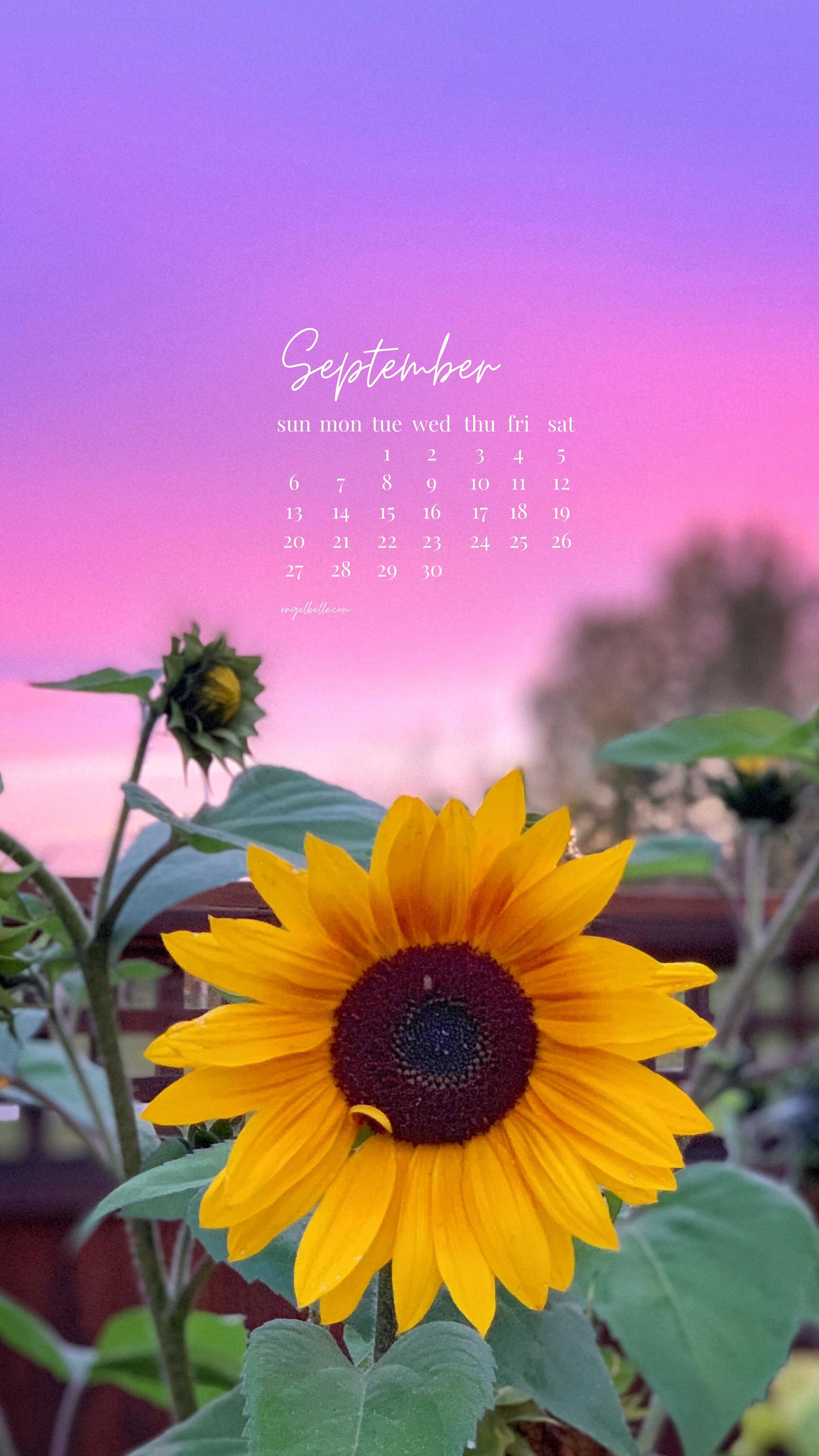 Engelbelle September Sunnies Sunset Phone Wallpaper.com.jpg